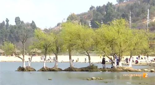 昆明信息港/cnkmxxg