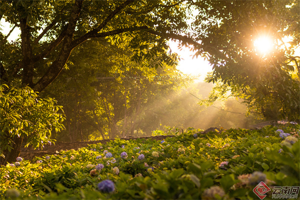 云南省文化和旅游厅