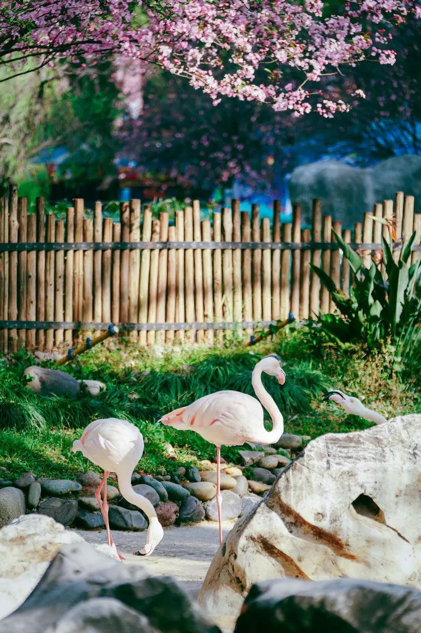 一部手机游云南