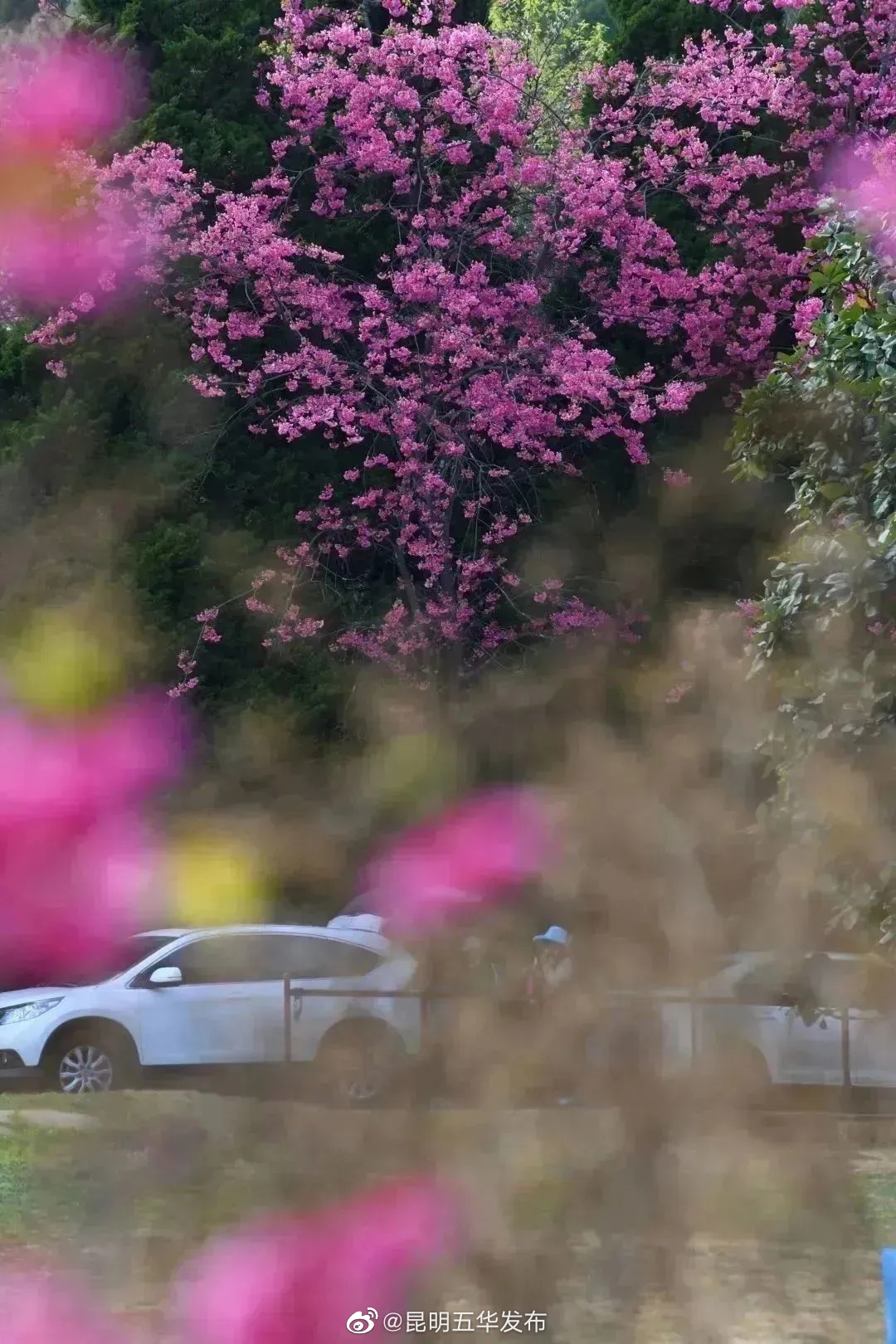 昆明五华发布