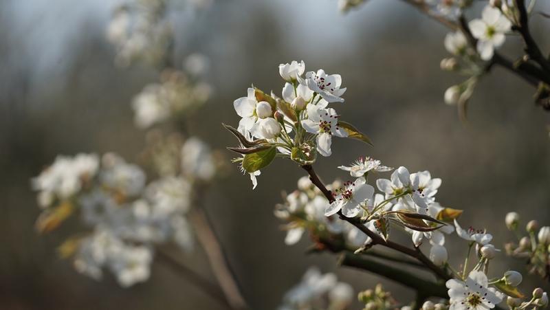 云南省文化和旅游厅