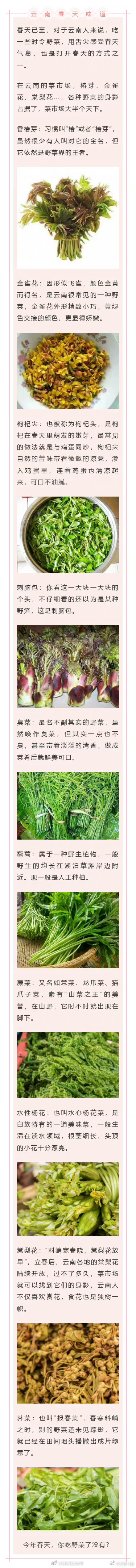 云南春天的味道