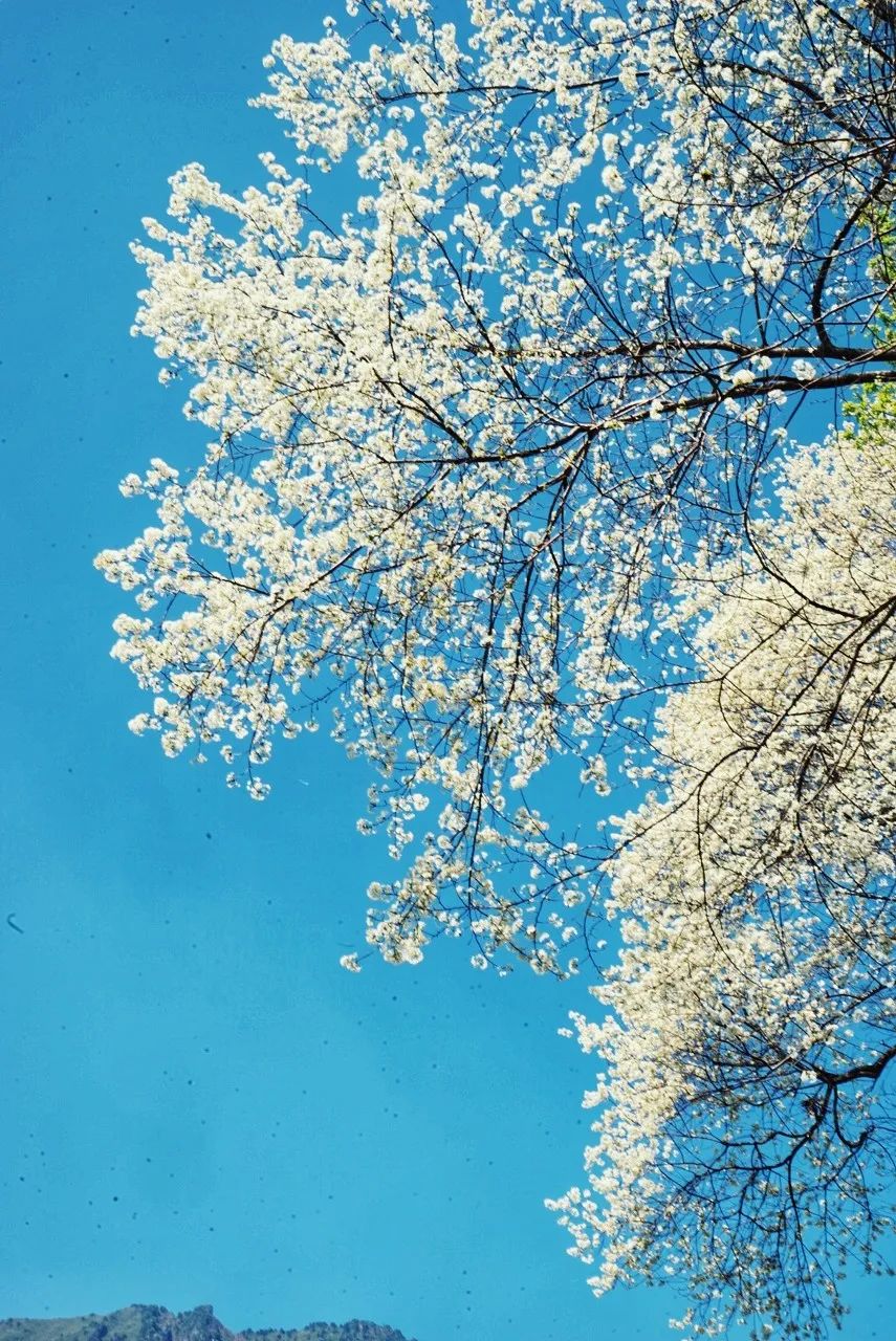 一部手机游云南