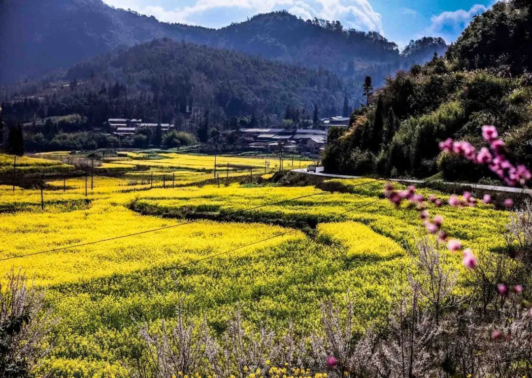 云南省文化和旅游厅
