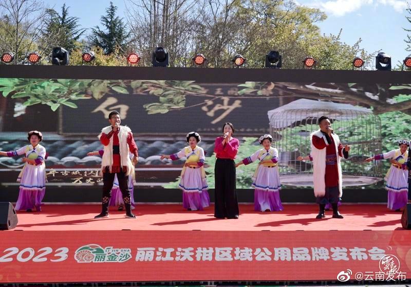 丽金沙·丽江沃柑区域公用品牌正式发布