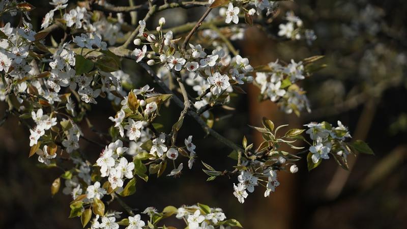 云南省文化和旅游厅