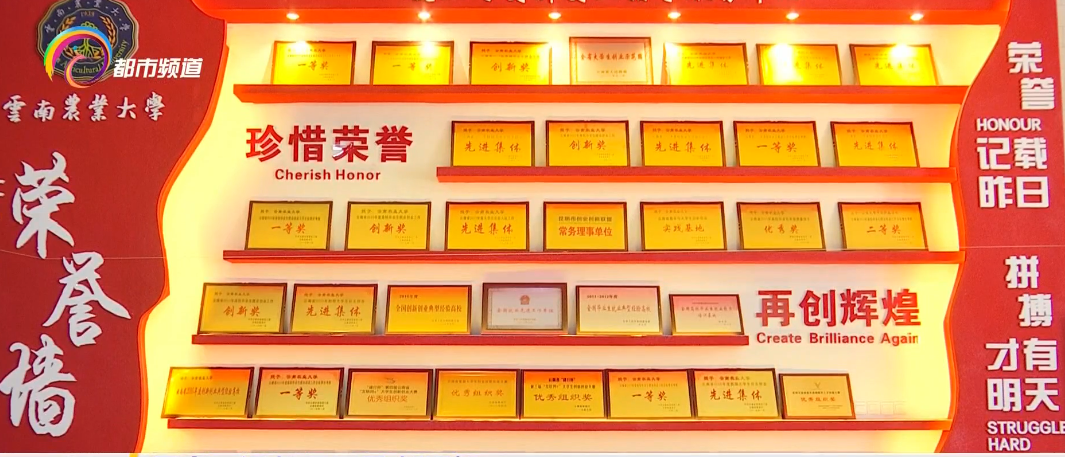 昆明信息港/cnkmxxg