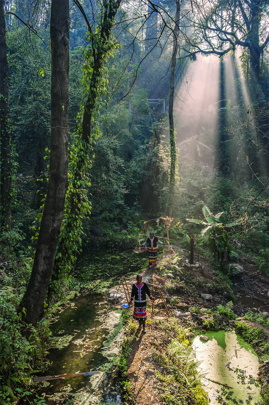 云南省文化和旅游厅