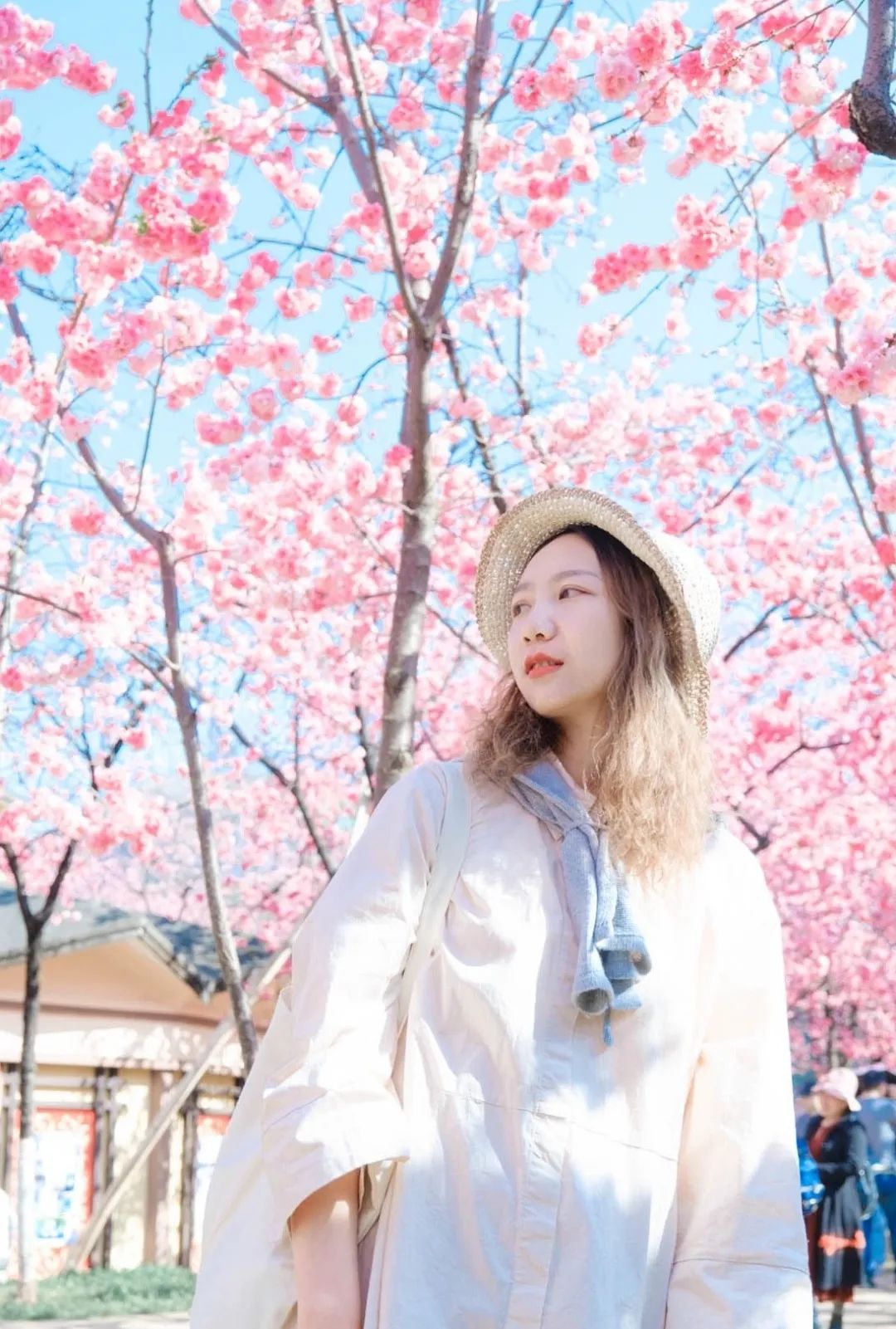 一部手机游云南