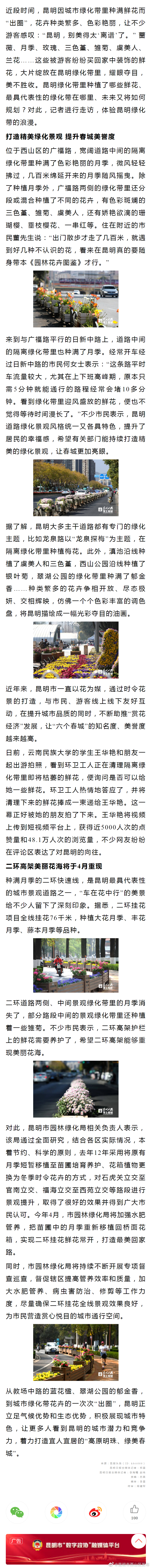 昆明的绿化带太“卷”了