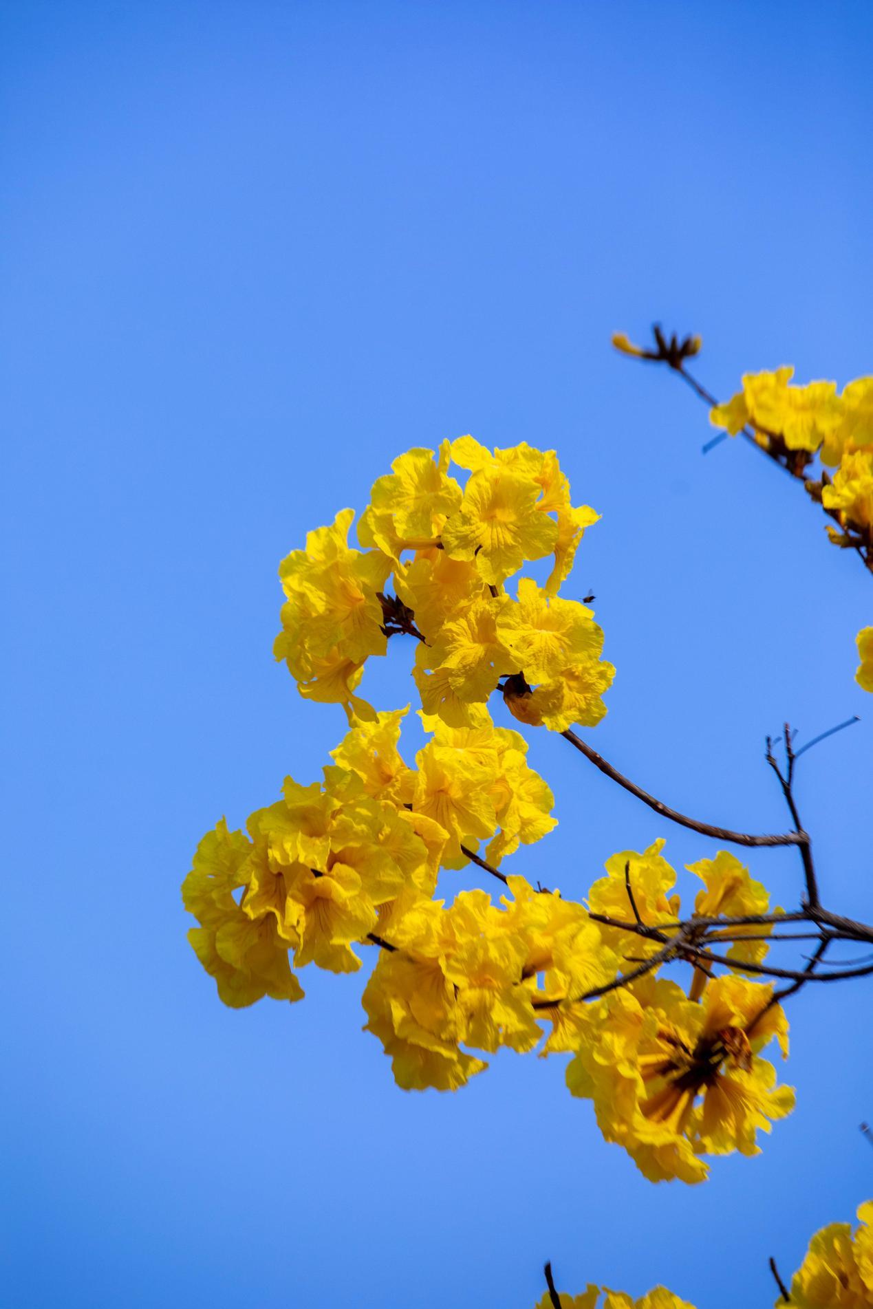 云南省文化和旅游厅