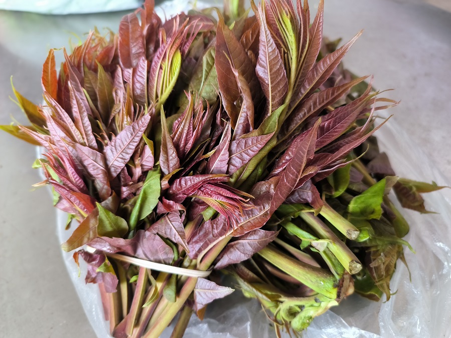 新华网云南频道