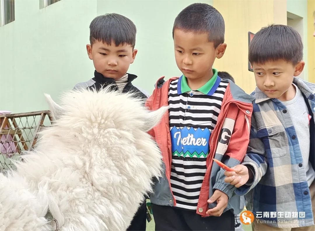 云南野生动物园