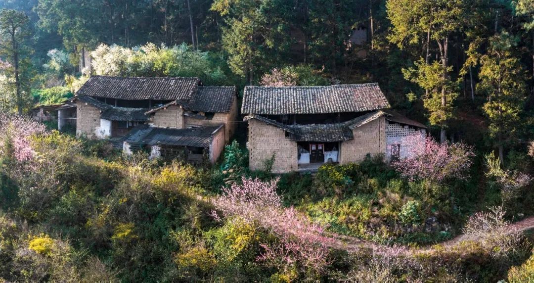 云南省文化和旅游厅