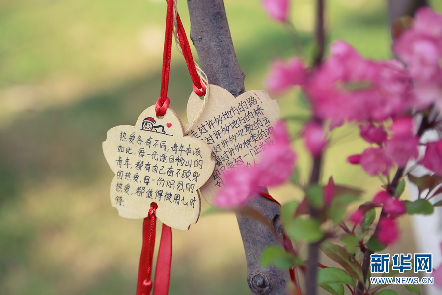 云南省文化和旅游厅