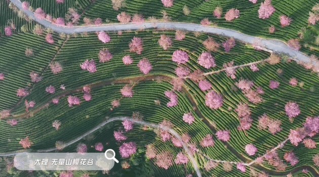 云南省文化和旅游厅