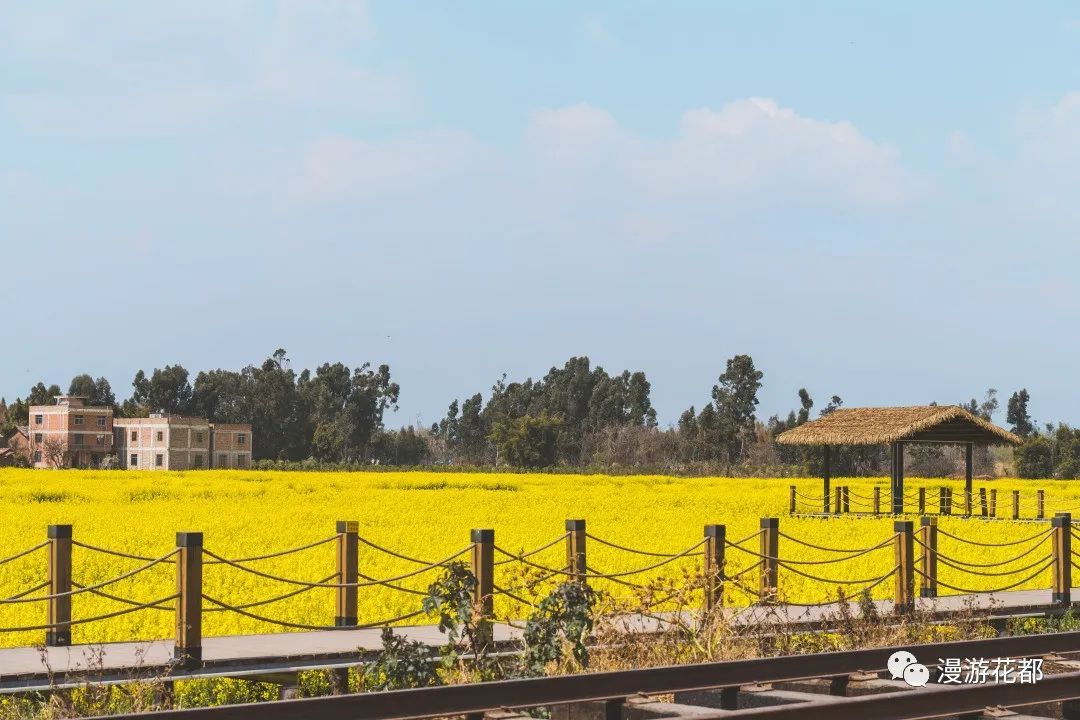 云南省文化和旅游厅