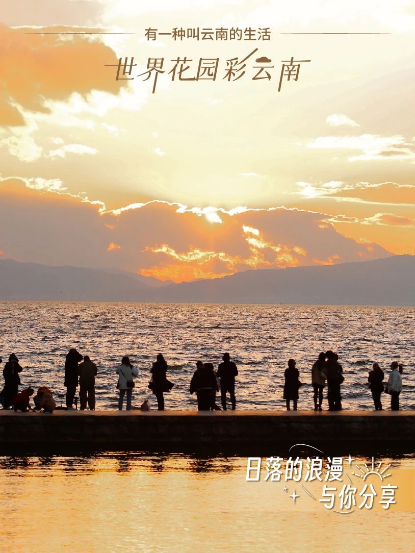 云南省文化和旅游厅