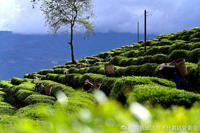 昆明经济技术开发区管委会