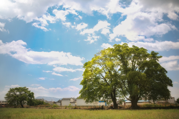 一部剧带火一座城 “有风”官方同款线路受追捧