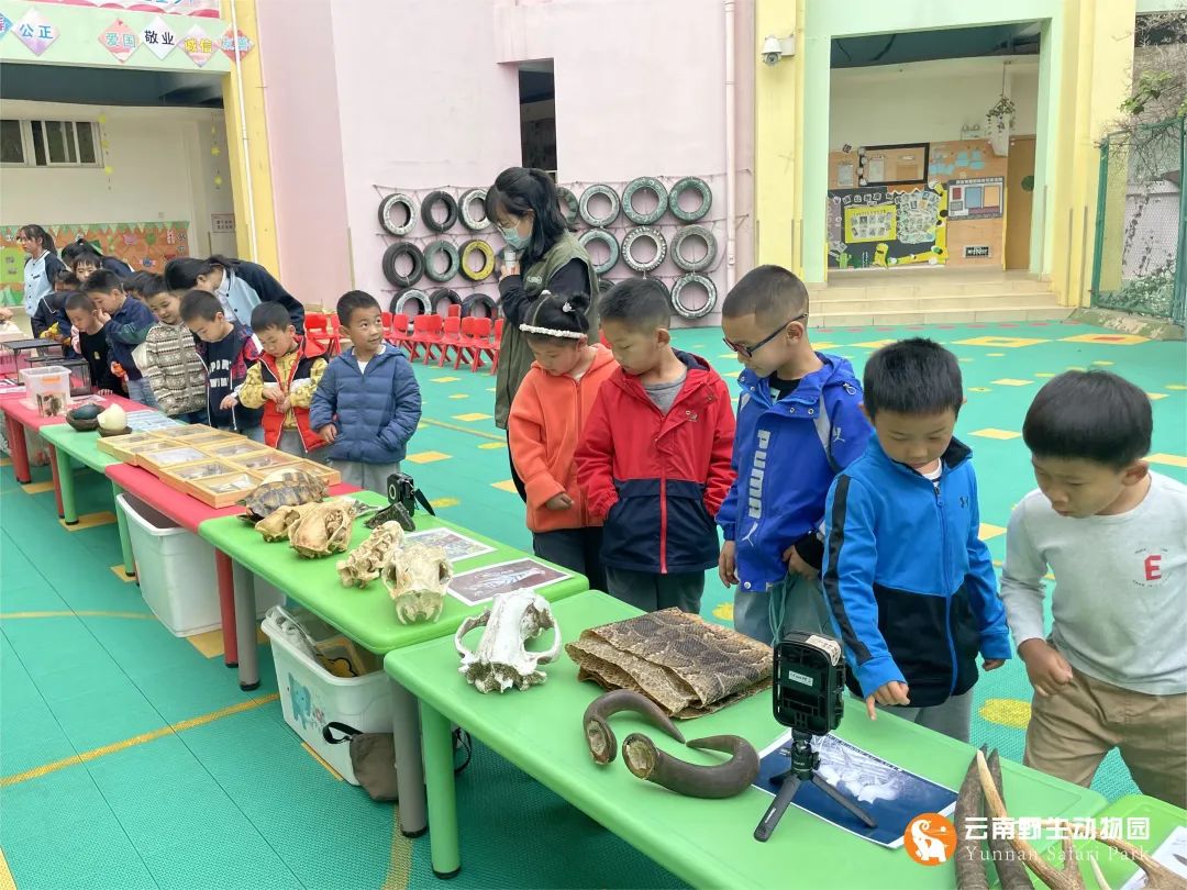 云南野生动物园