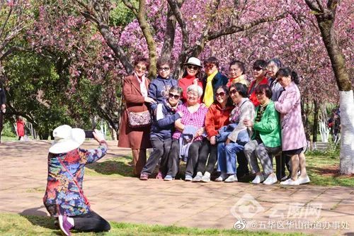五华区华山街道办事处
