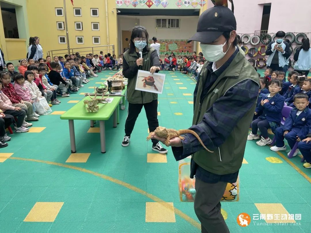 云南野生动物园