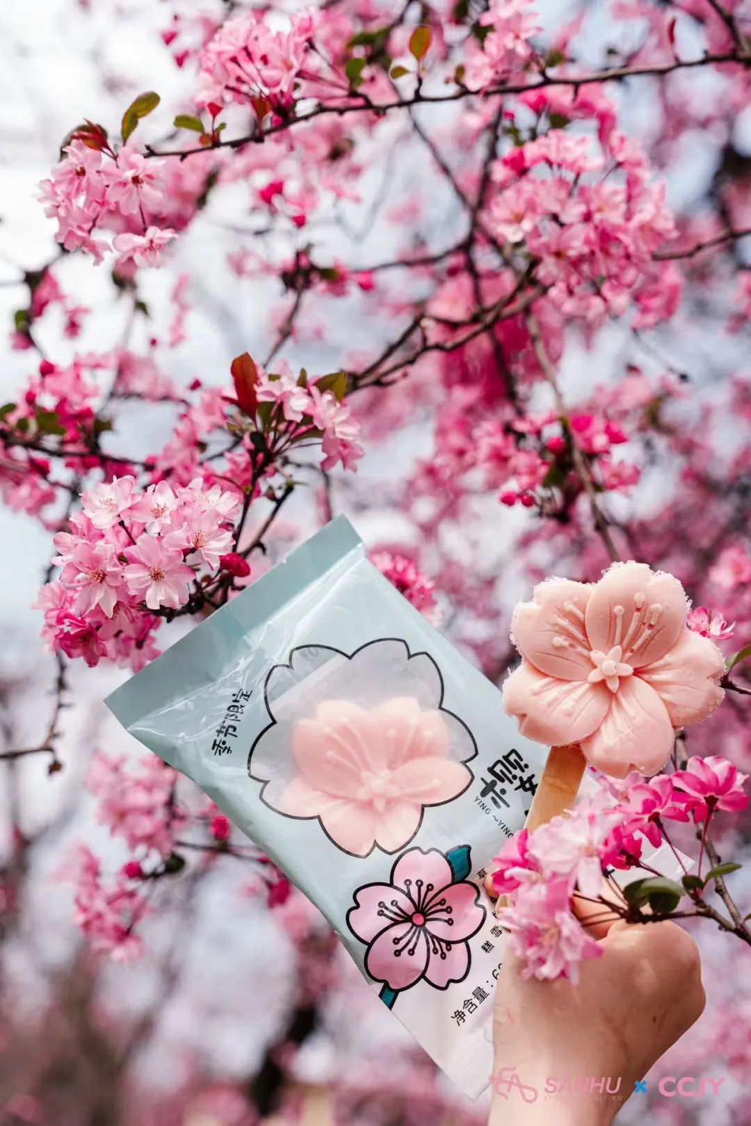 一部手机游云南