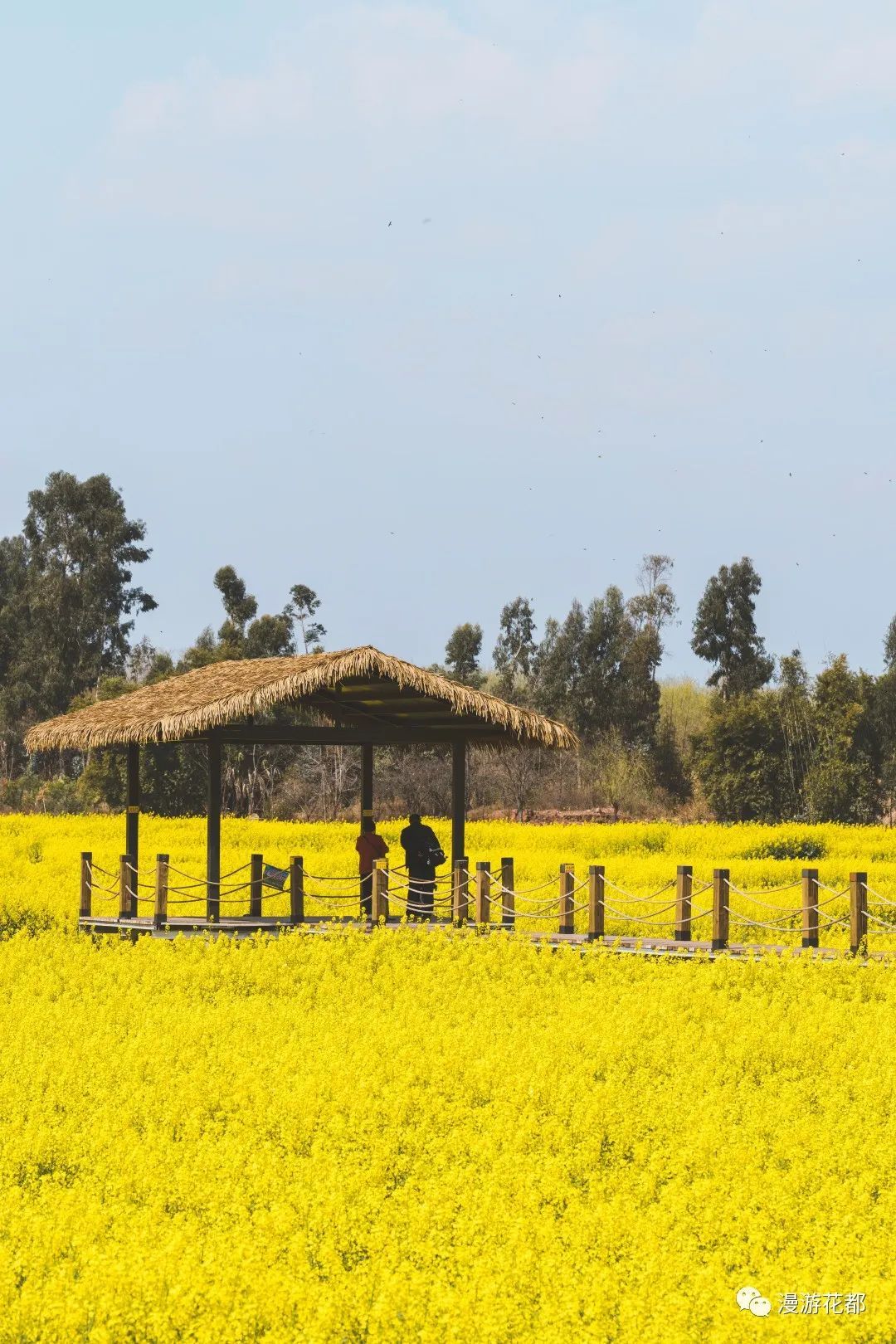 云南省文化和旅游厅