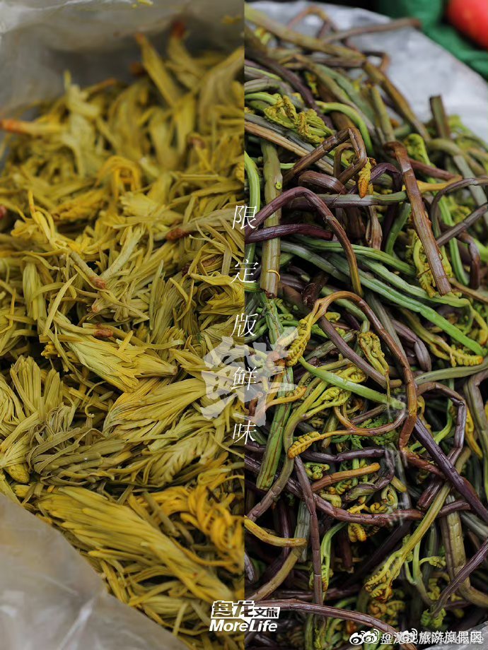 滇池旅游度假区