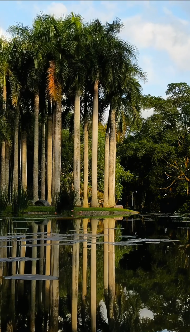 云南省文化和旅游厅