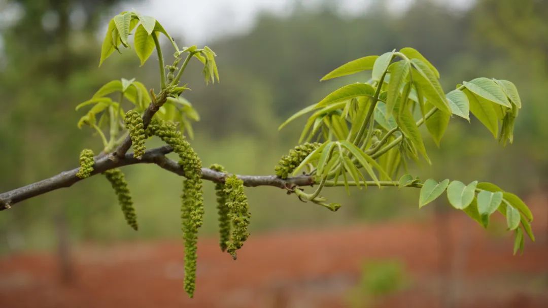 云南省文化和旅游厅