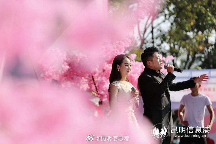 昆明信息港（微博）