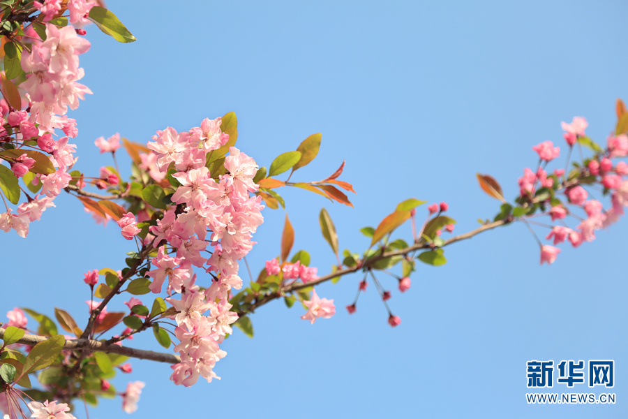 云南省文化和旅游厅