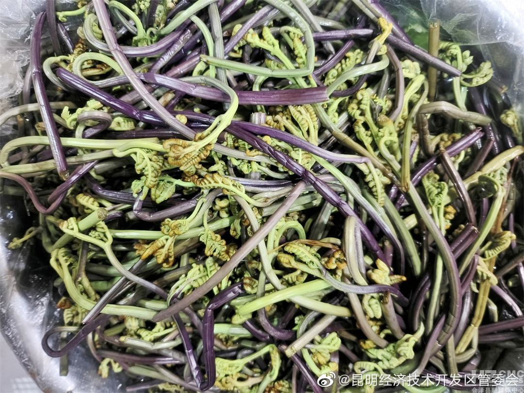 昆明经济技术开发区管委会