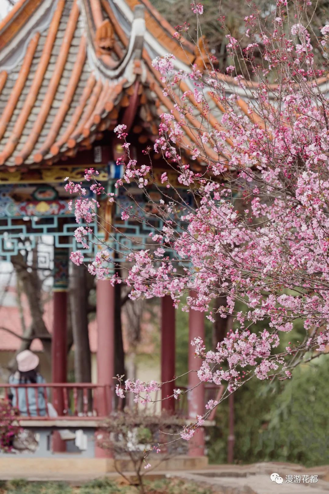 云南省文化和旅游厅