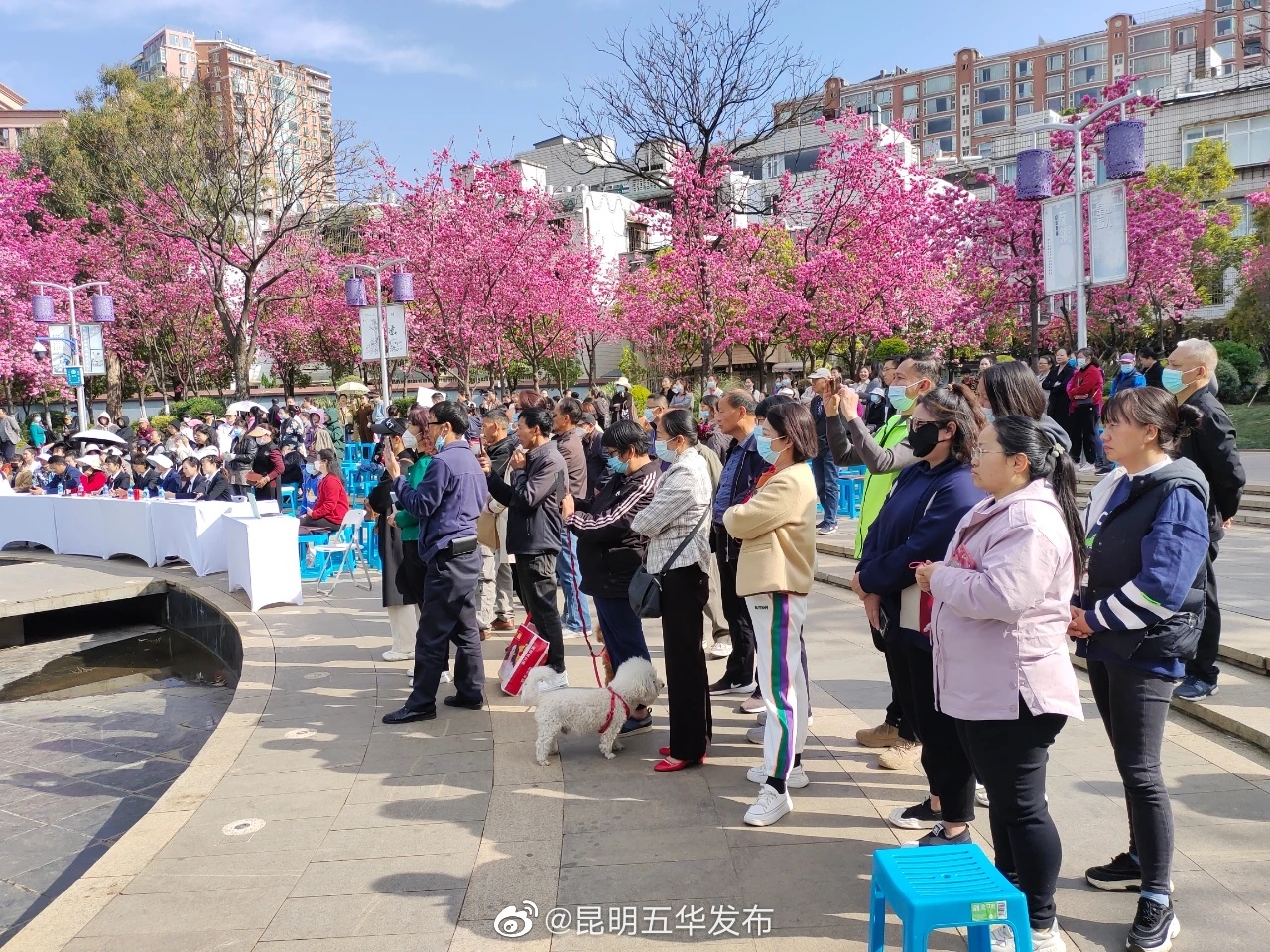 昆明五华发布