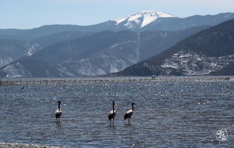云南省文化和旅游厅