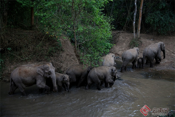 云南省文化和旅游厅