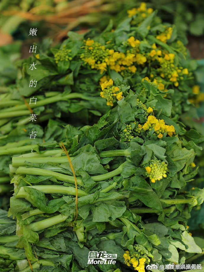 滇池旅游度假区