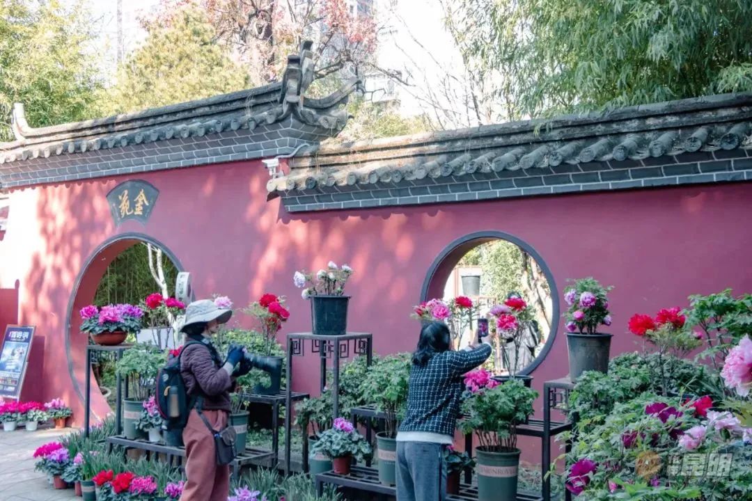 昆明文旅