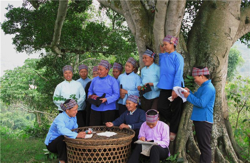 云南省文化和旅游厅