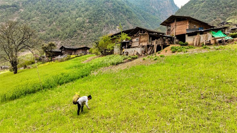 云南省文化和旅游厅