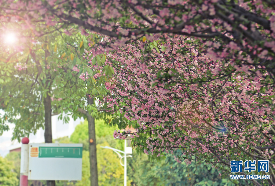 云南省文化和旅游厅