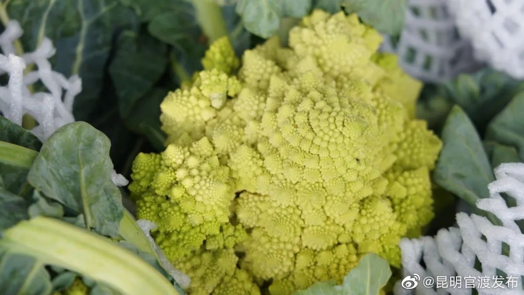 “昆明官渡发布”微博