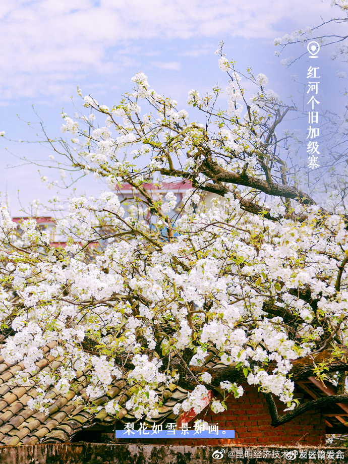 昆明经济技术开发区管委会