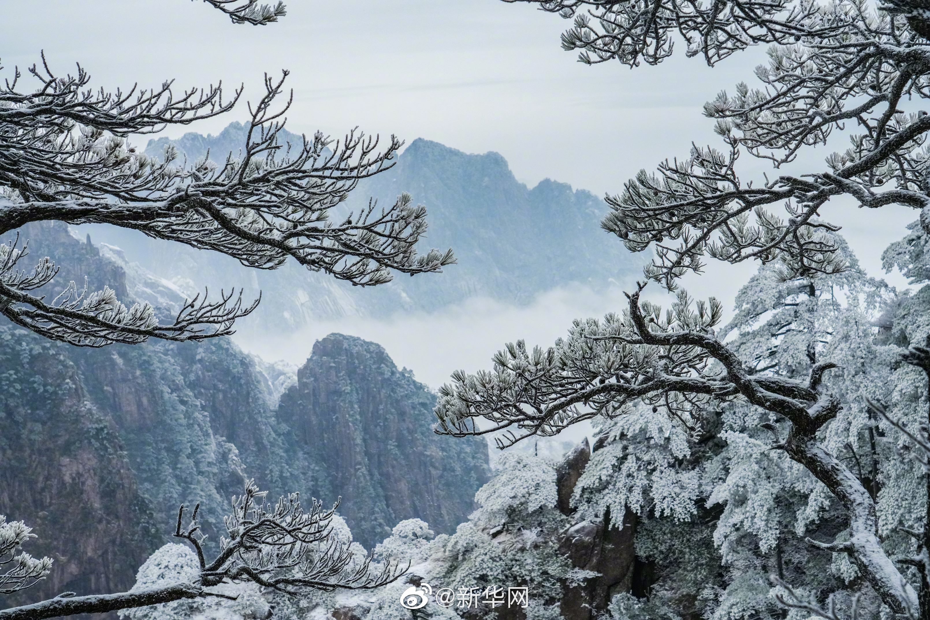 冷空气要来了厚衣服别收 今年以来最大范围雨雪将来袭