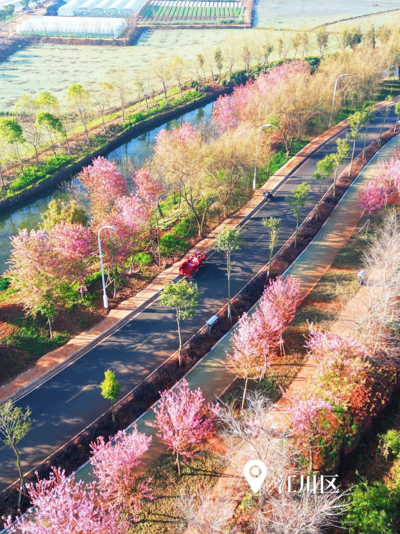 云南省文化和旅游厅