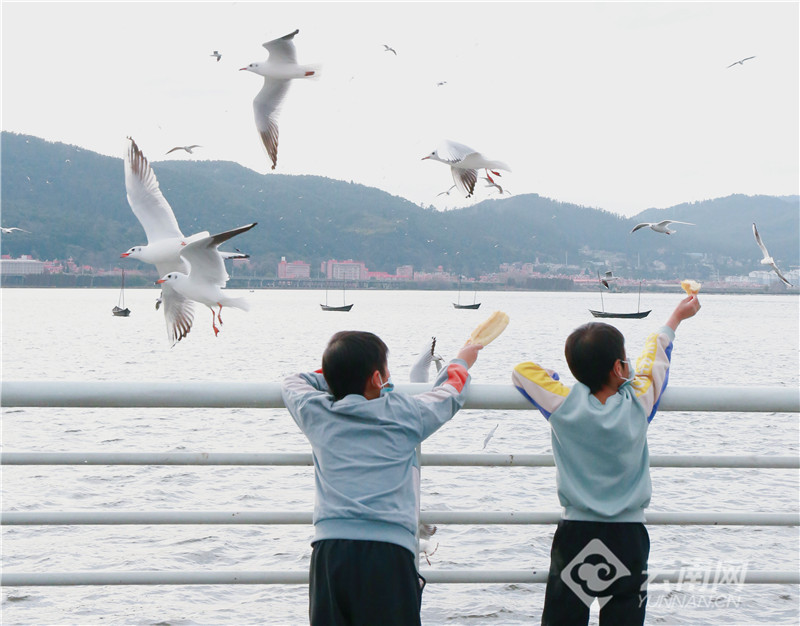 云南省文化和旅游厅