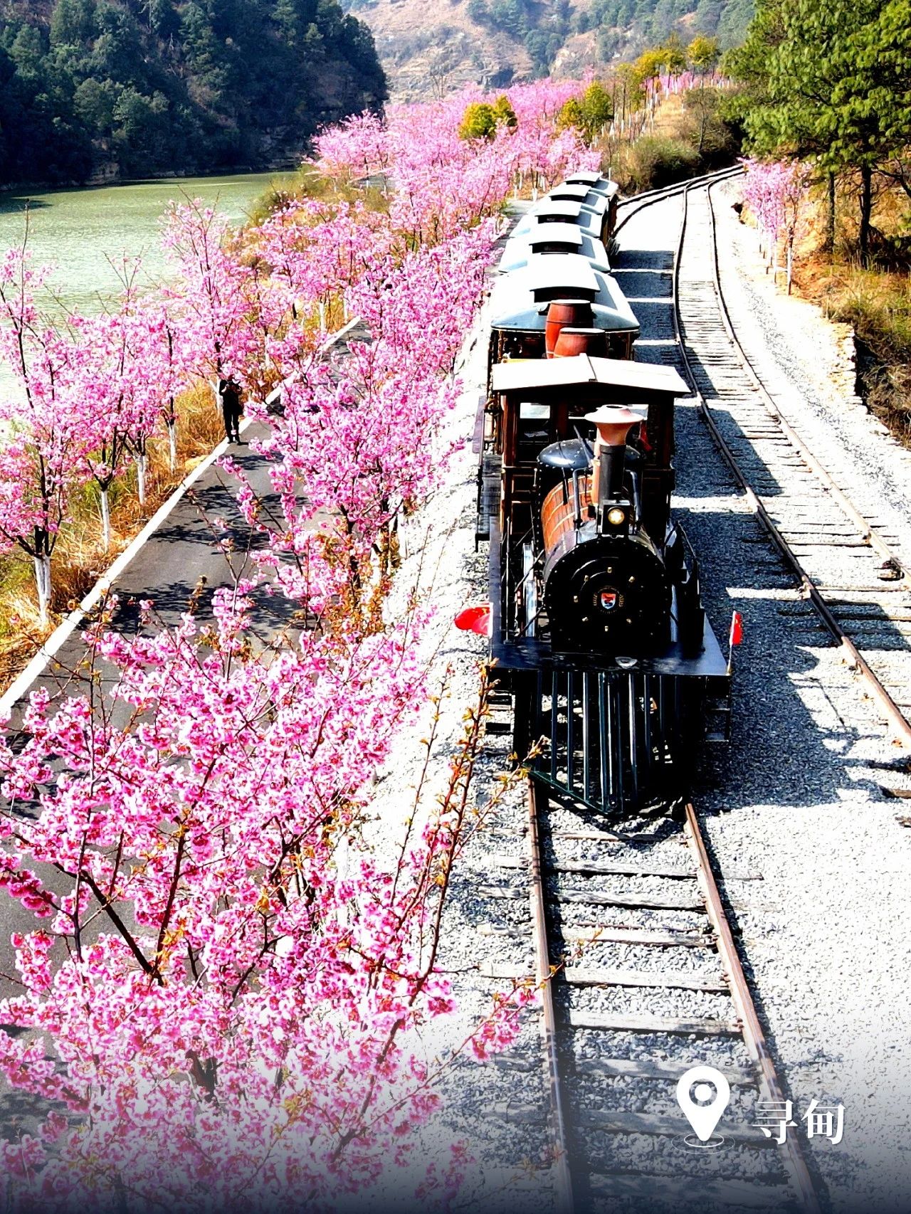 云南省文化和旅游厅